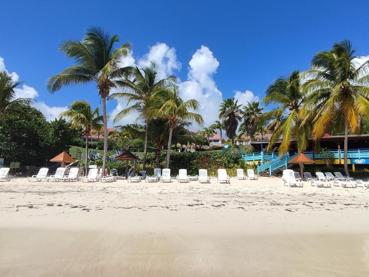 Studio Vue Mer Guadeloupe Sainte-Anne  Ngoại thất bức ảnh
